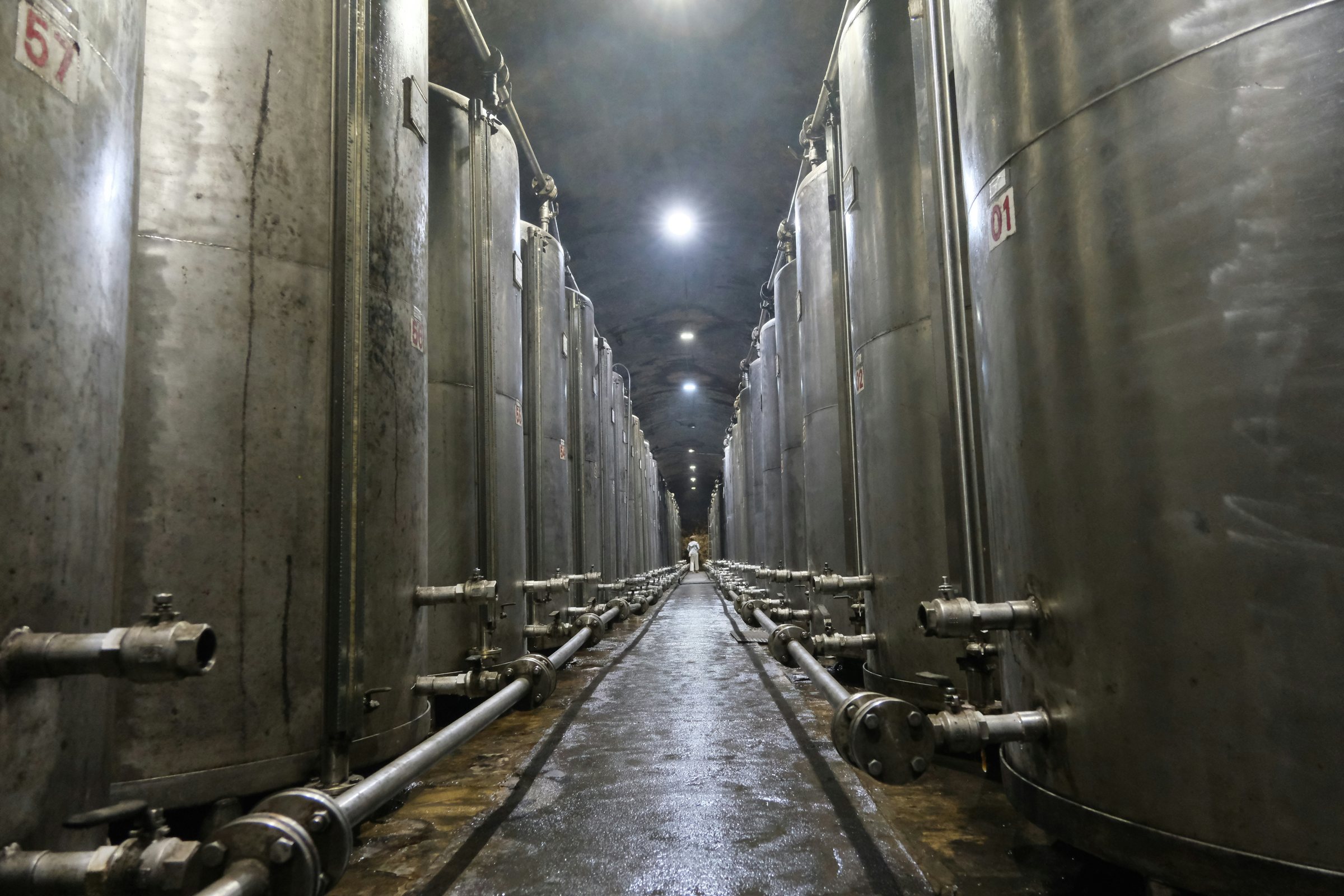 Long hall of stainless-steel fermentation and storage tanks with process pipework