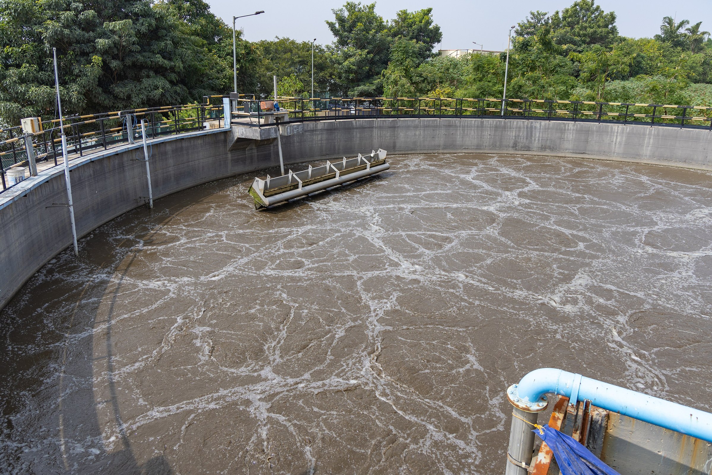 Aeration basin with activated sludge under aeration